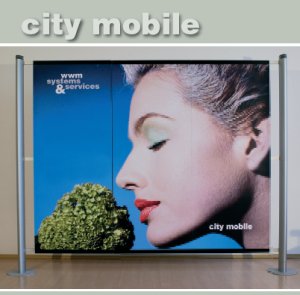 Citymobile prospektus